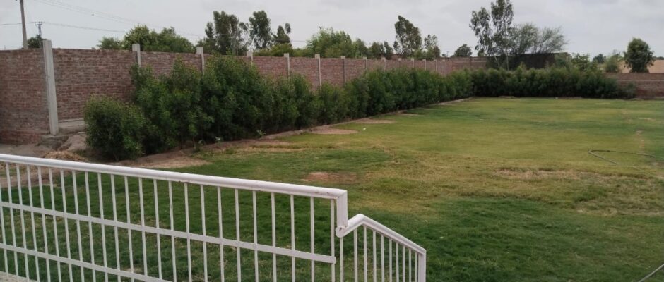 WhatsApp Image 2025-08-22 at 2.58.10 PM